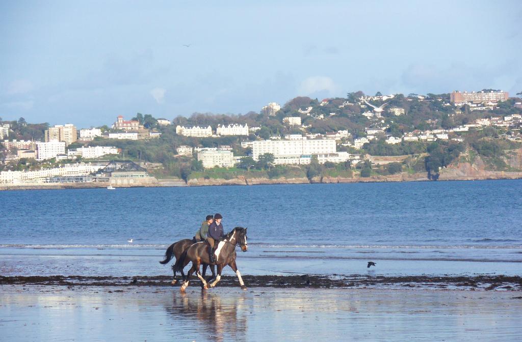 Rosemead Guest House Paignton Exteriör bild